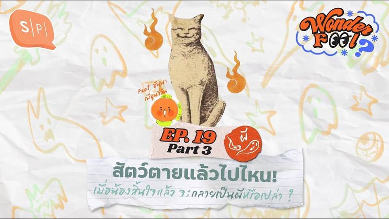 สัตว์ตายแล้วไปไหน! เมื่อน้องสิ้นใจแล้ว จะกลายเป็นผีหรือเปล่า ? | Wonderfool EP19.3