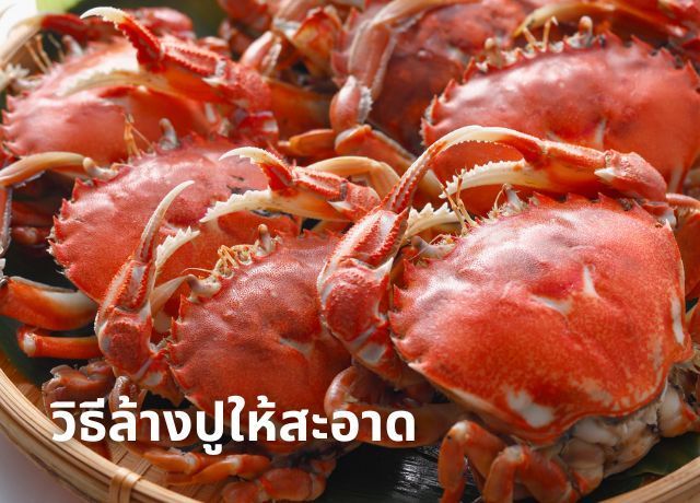 วิธีล้างปูม้าสด เตรียมทำส้มตำหรือดองน้ำปลาให้สะอาดปลอดภัย