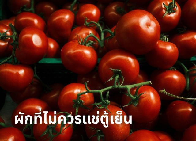 คู่มือจัดเก็บผัก: ผักประเภทไหน “ห้ามแช่ตู้เย็น” และควรเก็บอย่างไร?