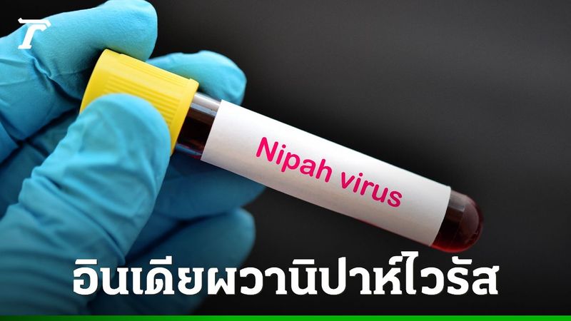 อินเดียเร่งสกัด ”ไวรัสนิปาห์” พบผู้ติดเชื้อเพิ่ม 5 ราย สั่งกักตัวเฉียด 100 คน หวั่นระบาดรุนแรง