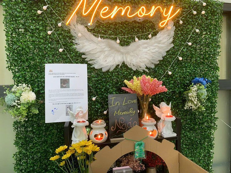 Dịch vụ tang lễ thú cưng, chó mèo tận tâm | Trum’s Pet Cremation