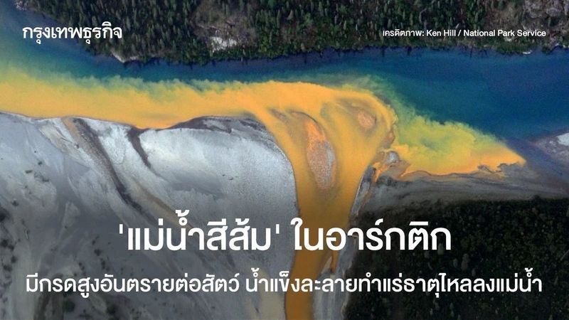 ‘แม่น้ำสีส้ม’ ในอาร์กติก มีกรดสูงอันตรายต่อสัตว์ น้ำแข็งละลายทำแร่ธาตุไหลลงแม่น้ำ