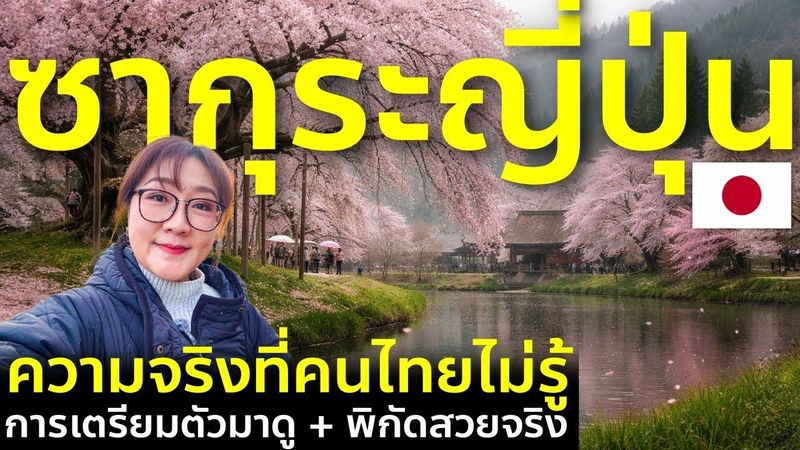 ซากุระญี่ปุ่น ความจริงที่คนไทยไม่รู้ | การเตรียมตัวมาดู + เผยพิกัดสวยจริง Japan Sakura