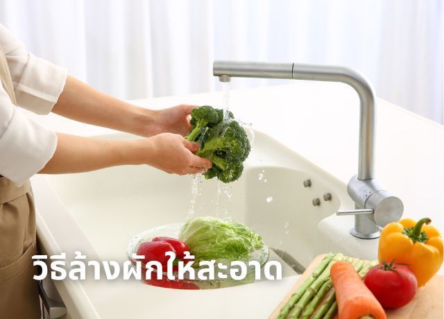 5 ไอเทมในครัวที่ใช้เป็นวิธีล้างผักชั้นยอด สะอาดปลอดภัยไม่ต้องพึ่งน้ำยาแพงๆ