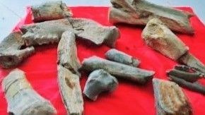 [Enve Engi] บรรพบุรุษของจีน 2.4 ล้านปี ณ หมู่บ้านซีโหวตู แม่น้ำเหลือง มีการใช้ไฟและเครื่องมือหินเก่าแก่สุดในโลก
ชาว Dongyi ตงยี่​ ตงอี้ หมายถึงผู้สืบทอด วัฒนธรรมจาก ริมฝั่งแม่น้ำเหลือง ณ แหล่งโบราณสถานซีโหวตู หม