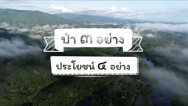 ป่า 3 อย่าง ประโยชน์ 4 อย่าง