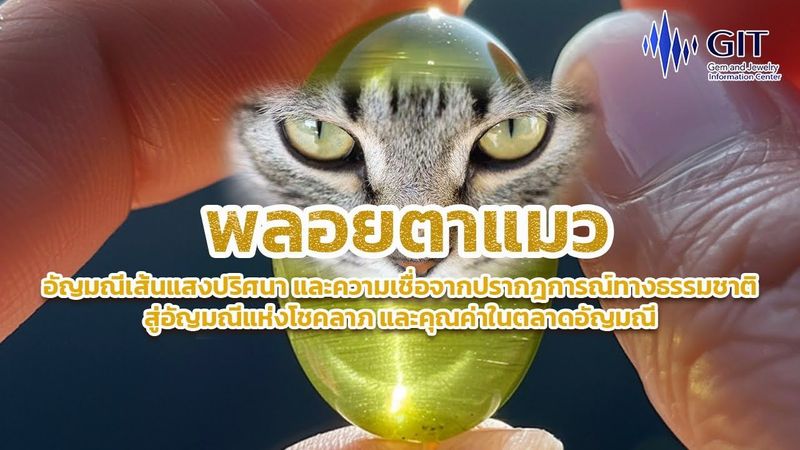 พลอยตาแมว: อัญมณีเส้นแสงปริศนา และความเชื่อจากปรากฎการณ์ทางธรรมชาติ สู่อัญมณีแห่งโชคลาภ และคุณค่า