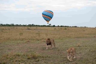 Kenya Visa for South Korea | Kenya Visa online