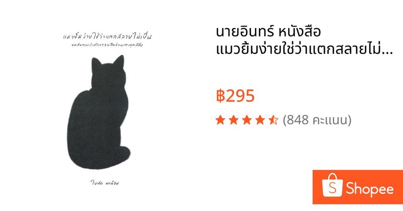 นายอินทร์ หนังสือ แมวยิ้มง่ายใช่ว่าแตกสลายไม่เป็น บทสนทนาว่าด้วยรอยขีดข่วนของยุคสมัย | Shopee Thailand