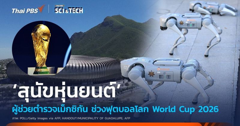 ‘สุนัขหุ่นยนต์’ ผู้ช่วยตำรวจเม็กซิกัน ช่วงฟุตบอลโลก World Cup 2026 | Thai PBS NOW