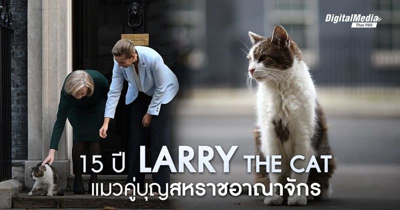 15 ปี ‘Larry the cat’ แมวคู่บุญบ้านผู้นำสหราชอาณาจักร | Thai PBS NOW