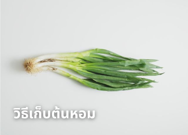 วิธีเก็บต้นหอมไว้ใช้ได้นานข้ามปี ด้วยเทคนิคการแช่ฟรีซ