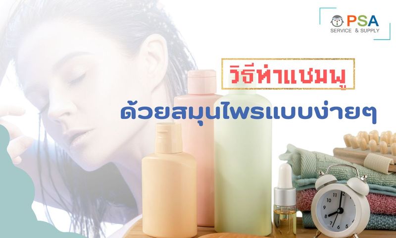 วิธีทำแชมพูด้วยสมุนไพรใกล้ตัว ไม่ยากอย่างที่คิด