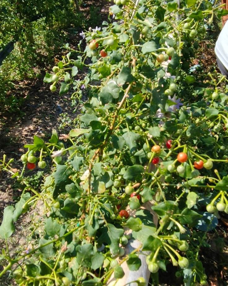 เพราะยังไม่ถึงเป้าหมาย จึงไปเติมฝันความรู้การเงินที่ร้อยเอ็ด