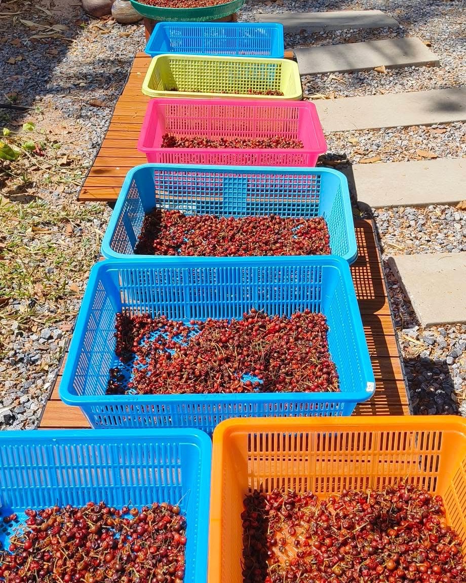 เพราะยังไม่ถึงเป้าหมาย จึงไปเติมฝันความรู้การเงินที่ร้อยเอ็ด