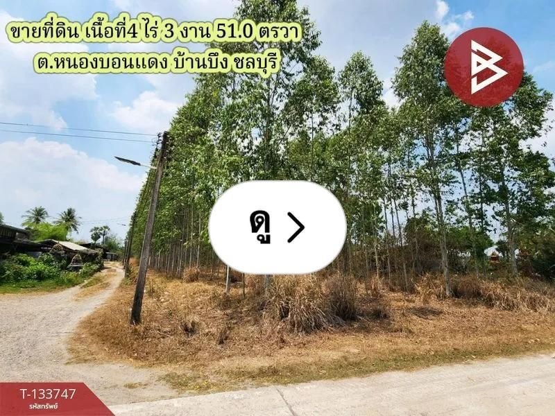 Lemon8 · ขายที่ดิน เนื้อที่4 ไร่ 3 งาน 51.0 ตรวา บ้านบึง ชล · @CHAY - BOYZ