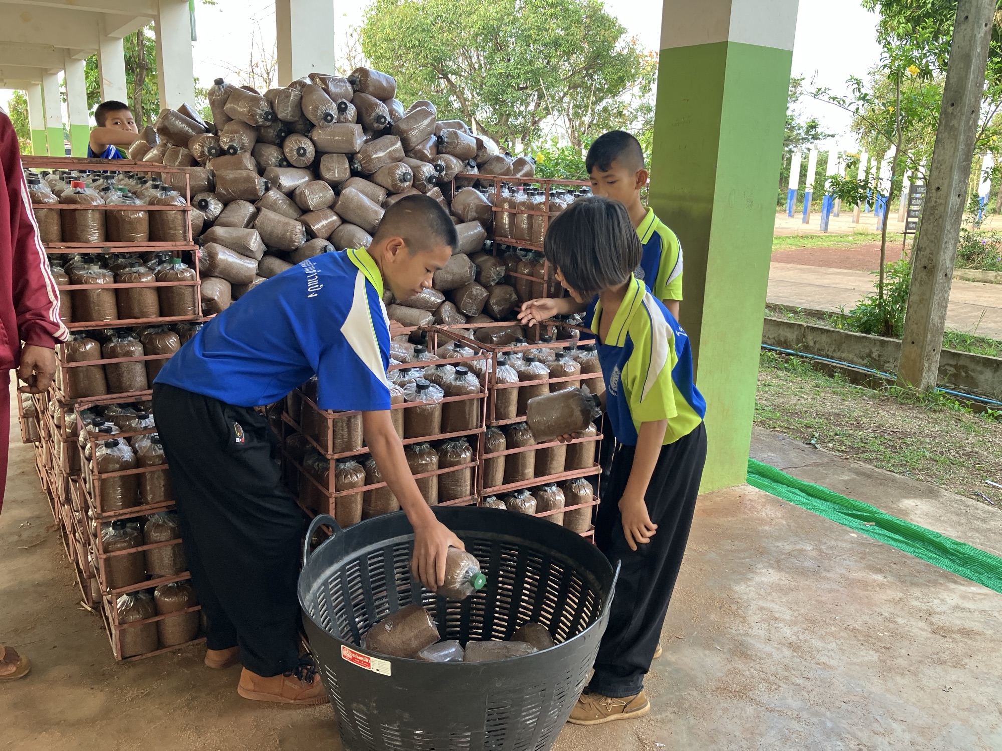 จัดค่ายจิตอาสาสร้าง "ยุวเกษตรกร" เพาะเห็ดสร้างรายได้ให้นักเรียน รร.บ้านข้าวแป้ง