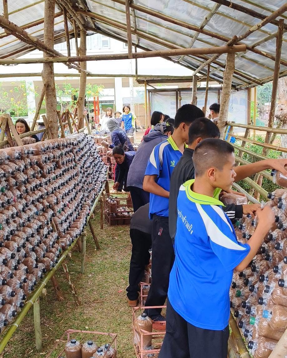 จัดค่ายจิตอาสาสร้าง "ยุวเกษตรกร" เพาะเห็ดสร้างรายได้ให้นักเรียน รร.บ้านข้าวแป้ง
