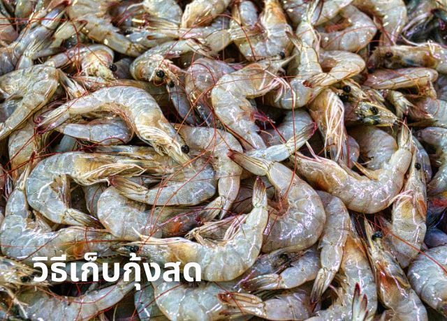 วิธีเก็บกุ้งสดให้เก็บได้นานเป็นเดือนด้วยการแช่แข็ง