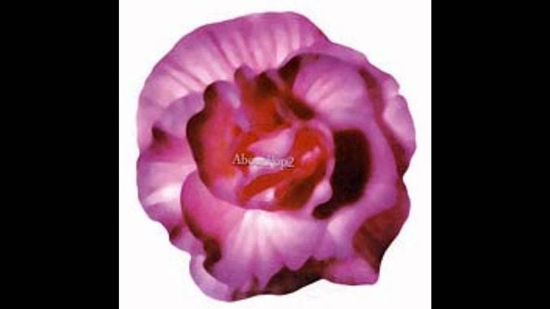 About Pop 2 - ควัน