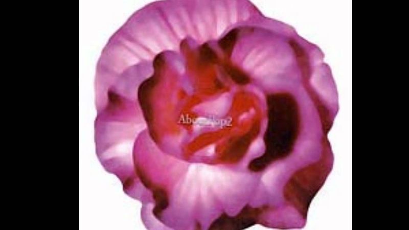 About Pop 2 - ดาวศุกร์