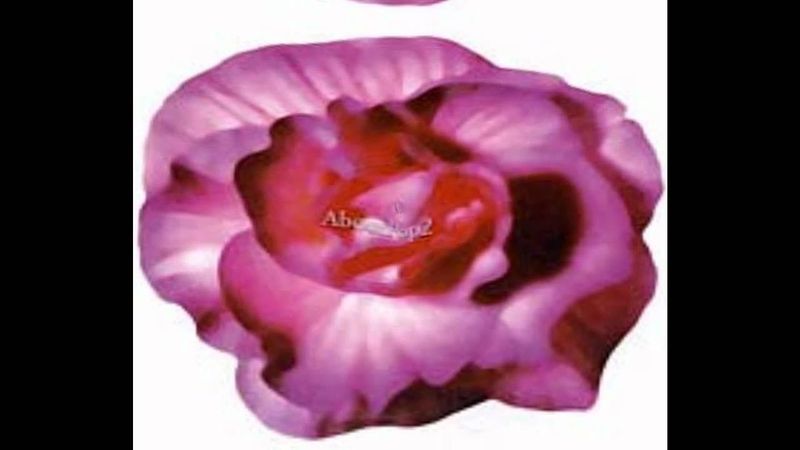 About Pop 2 - ดาว