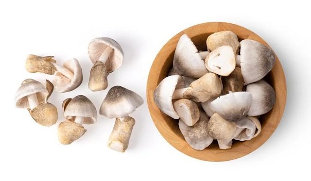 วิธีจัดการเห็ดฟางให้สดเหมือนเพิ่งเด็ดจากกองฟาง