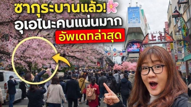 ด่วน! ซากุระอุเอโนะบานแล้ว 🌸 คนแน่นตลาดอาเมโยโกะ อัปเดตญี่ปุ่นล่าสุด 13 มี.ค.