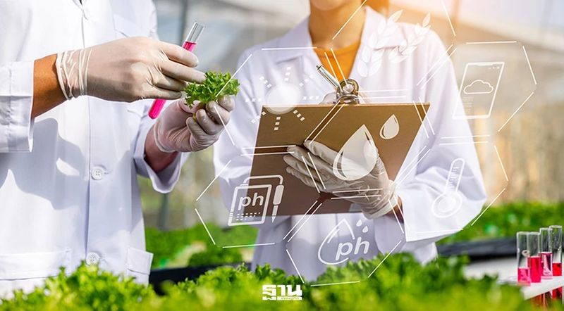 บีโอไอ หนุนอุตสาหกรรม ‘กลิ่น-รส’ ดึงลงทุนไทยทะลุ 1.3 แสนล้าน