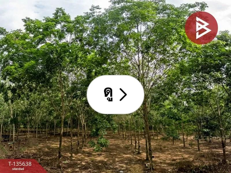 Lemon8 · ขายที่ดิน เนื้อที่ 8 ไร่ ต.กระแสบน แถลง ระยอง · @CHAY - BOYZ