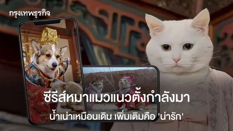 ละครหมาแมวแนวตั้ง กระแสแรง! ละครคุณธรรม นำแสดงโดย ‘หมาแมว AI’