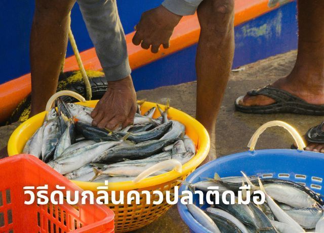 วิธีดับกลิ่นคาวปลาติดมือโดยใช้ใบชาและกากกาแฟ