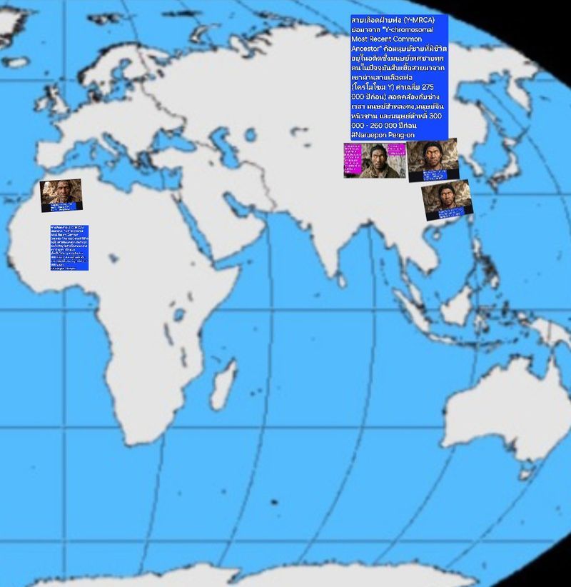 [Enve Engi] สมมติฐาน วาย-โครโมโซมอล อดัม อาจเป็นมนุษย์ฮัวหลงตง มนุษย์จินหนิวซาน และมนุษย์ต้าหลี่
สมมติฐาน วาย-โครโมโซมอล อดัม (Y-chromosomal Adam) อาจเป็นมนุษย์ฮัวหลงตง มนุษย์จินหนิวซาน และมนุษย์ต้าหลี่ [มนุษย