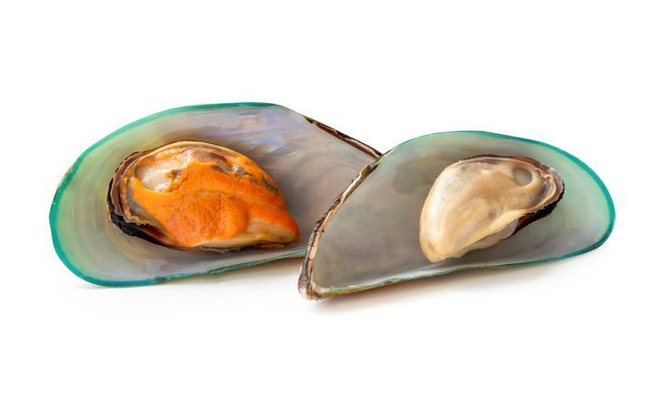 เคล็ดลับแยกเพศหอยแมลงภู่จากสีเนื้อ สีไหนคือตัวผู้ สีไหนคือตัวเมีย?