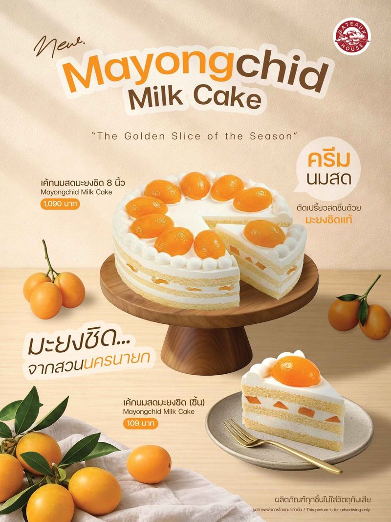Mayongchid Milk Cake