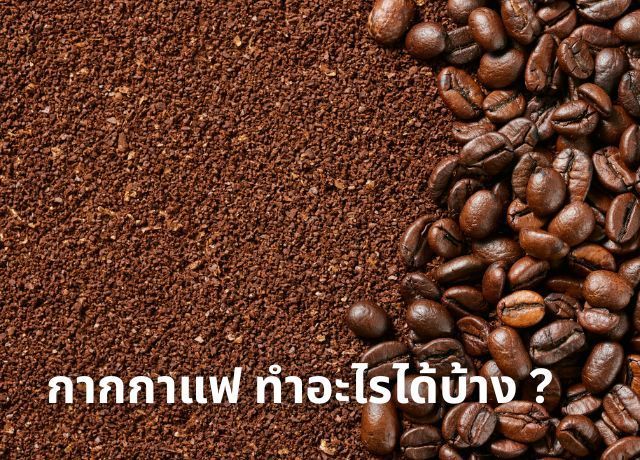 อัปเกรดผิวสวยด้วยกากกาแฟ เคล็ดลับสปาที่ทำเองได้ที่บ้าน