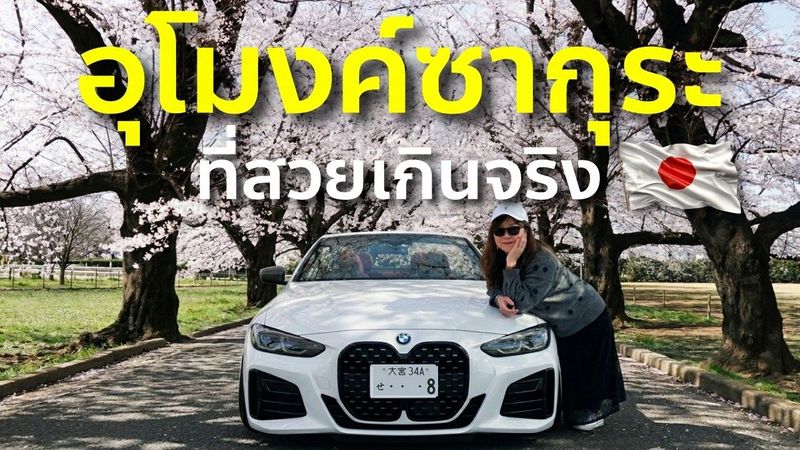ซากุระญี่ปุ่นปีนี้โคตรสวย ขับ BMW เปิดประทุนไปฮานามิในไซตามะ 🌸