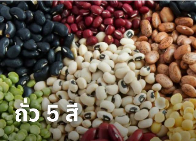 พลังแห่งการชะลอวัยด้วยถั่ว 5 สี ประโยชน์ที่สายบิวตี้ต้องรู้