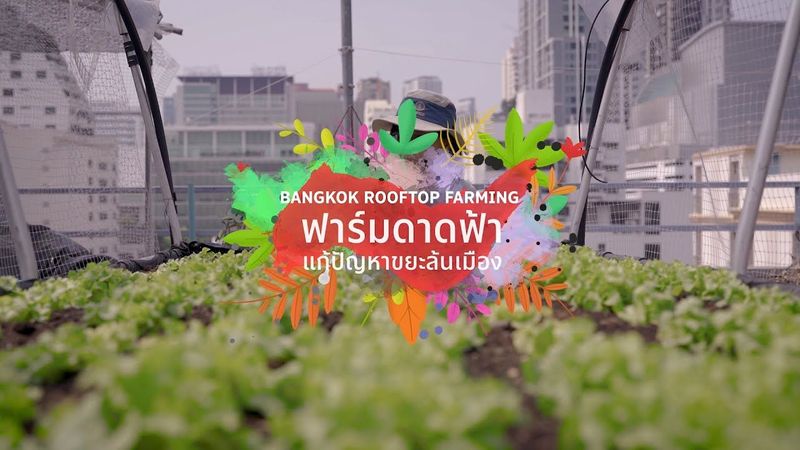 เพื่อนคู่คิด | ฟาร์มดาดฟ้า แก้ปัญหาขยะล้นเมือง (Bangkok Rooftop Farming)