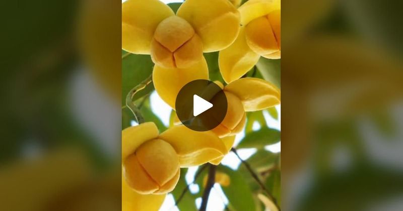 TikTok · กรมกิจการผู้สูงอายุ