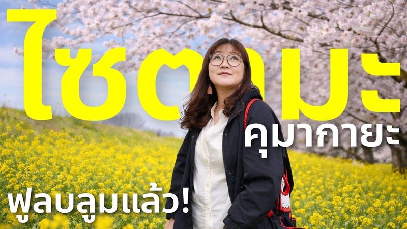 ซากุระฟูลบลูมที่ญี่ปุ่น แต่โล่งเกินคาด! 🌸 Kumagaya Sakura