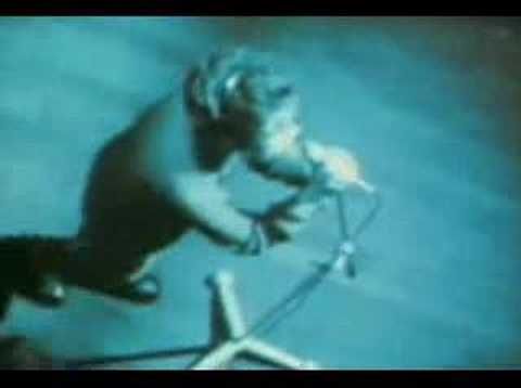 The Sundays - Here’s Where The Story Ends