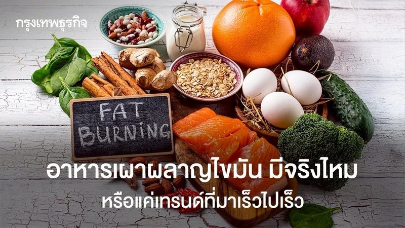 อาหารเผาผลาญไขมัน มีจริงไหม หรือแค่เทรนด์ที่มาเร็วไปเร็ว