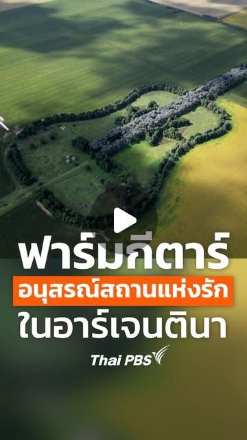 Thai PBS ไทยพีบีเอส on Instagram: ”📹 ทำเพราะรัก ! Estancia La Guitarra หรือ “ฟาร์มกีตาร์” เริ่มสร้างขึ้นในปี พ.ศ. 2522 โดยชาวไร่นาม Pedro Ureta เพื่ออุทิศให้แก่ภรรยาของเขาที่เสียชีวิตระหว่างตั้งครรภ์ ฟาร์มแห่งนี้ปกคลุมด้วยต้นไม้กว่า 7,000 ต้น จนเป็นรูปกีตาร์ยาวกว่า 1,100 เมตร 🎸🍃
.
🔗 อ่านเรื่องราวของ Estancia La Guitarra ได้ที่: www.thaipbs.or.th/now/content/3876 หรือ Link in Bio
.
#ThaiPBS #EstanciaLaGuitarra #อาร์เจนตินา #ข่าวต่างประเทศ #รวมเรื่องรอบโลก”