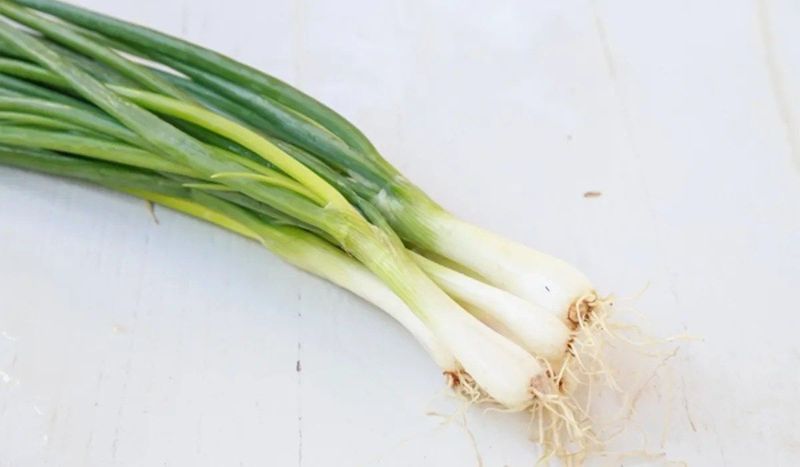 ต้นหอม ประโยชน์ในฐานะสมุนไพรไล่หวัดและดูแลระบบทางเดินหายใจ