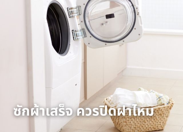 ซักผ้าเสร็จ ควรปิดฝาไหม? เทคนิคดูแลเครื่องซักผ้าแต่ละประเภทให้ทนทาน