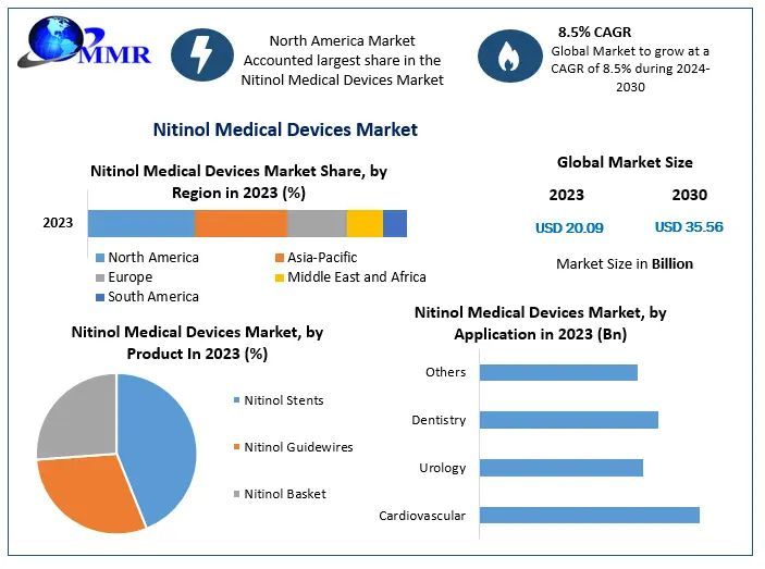 Nitinol Medical Devices Market: Global Industry Analysis and Forecast (2024-2030)