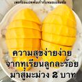 คลินิกบ้านคุณหมอ ประชาชื่น ศูนย์โรคภูมิแพ้ หอบหืด