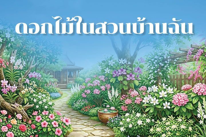 ดอกไม้ในสวนบ้านฉัน