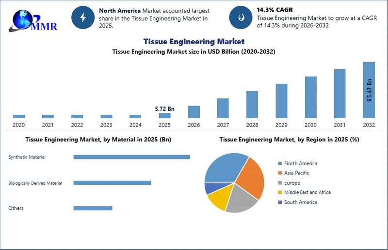 Tissue Engineering Market Size Share Trend Analysis and Industry Growth Forecast (2026-2032)